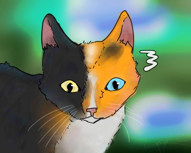 Calico cat!