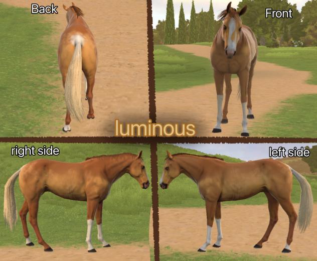 luminous!