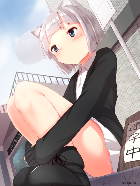 迷い猫