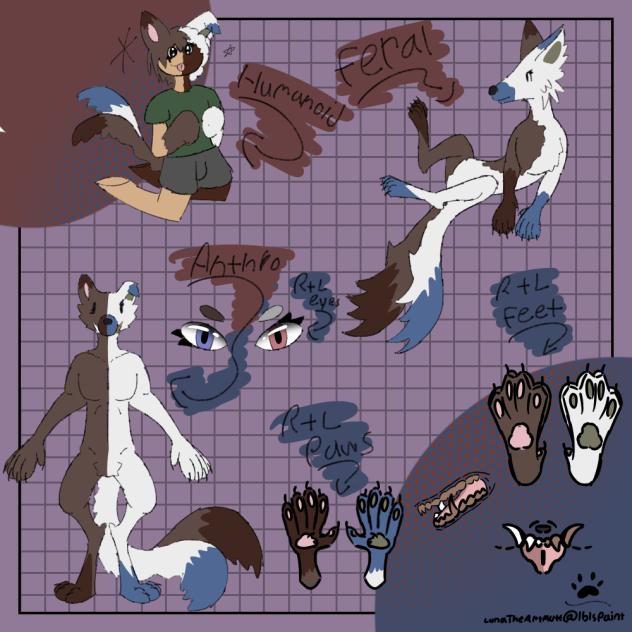 Canines(Merick & Nick Mixed)