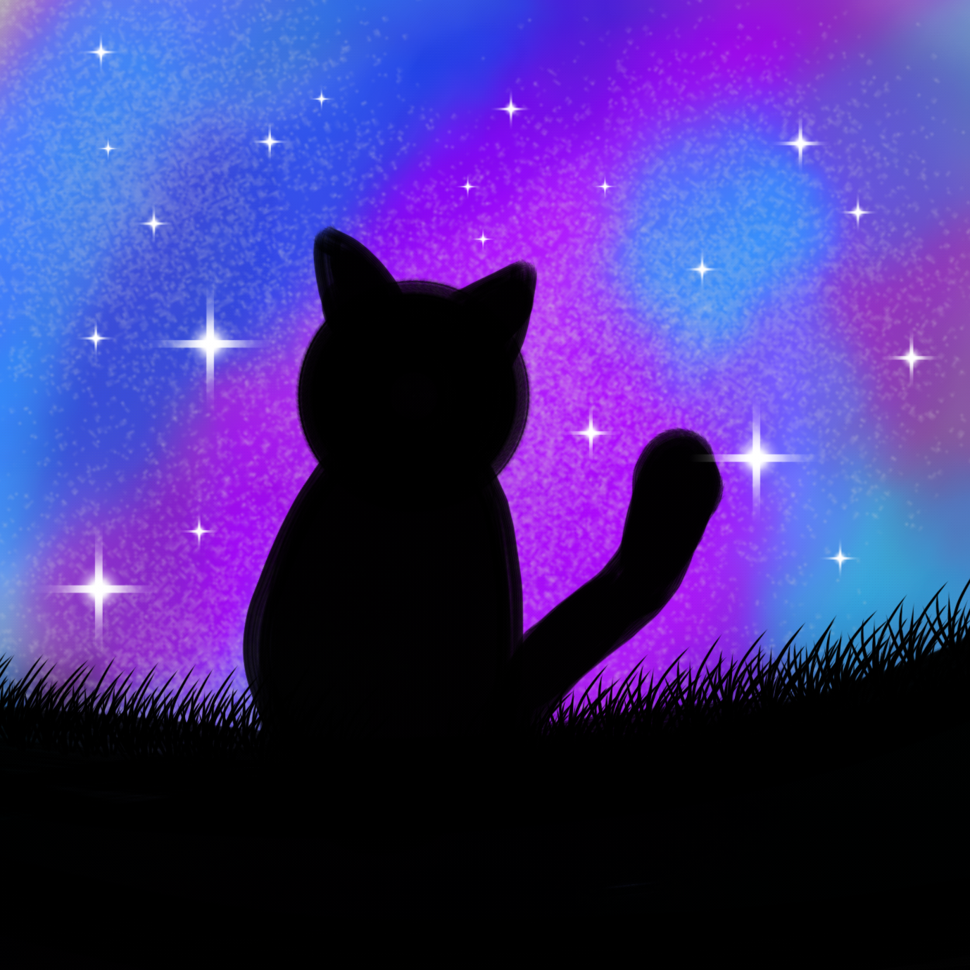 Galaxy cat - ibisPaint