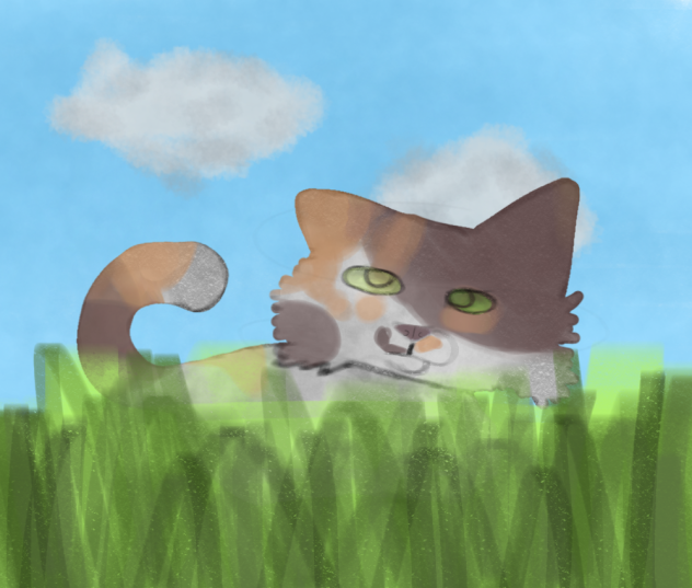 Tall grass