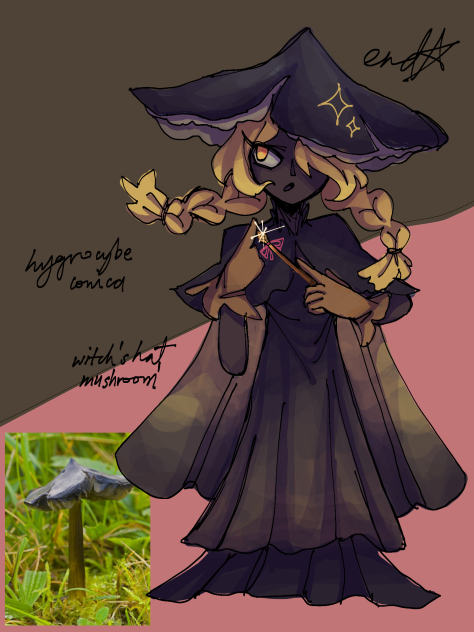 funguary; witch's hat mushroom