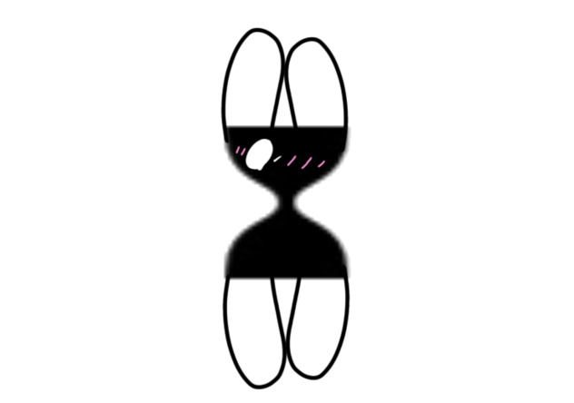 Black bunny