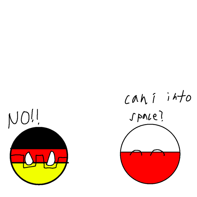 can poland into space