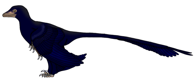 Microraptor zhaoianus render