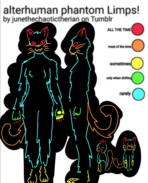 cat therian phantom limbs