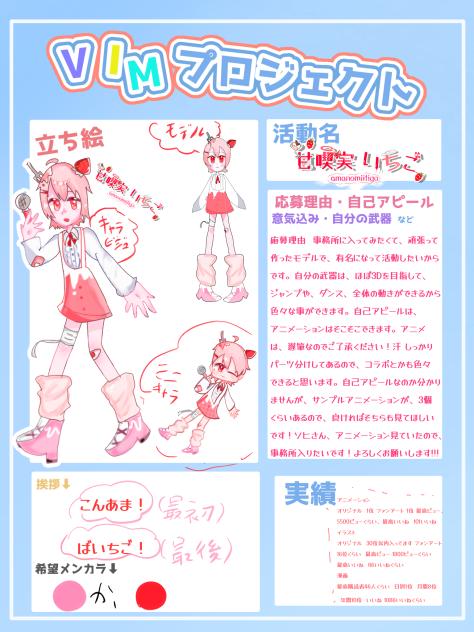 VIMプロタレント0期生応募です！