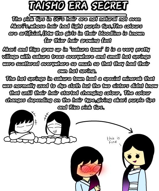 TAISHO ERA SECRET