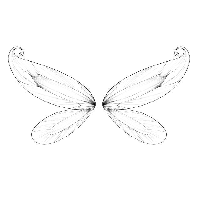 fairy wings