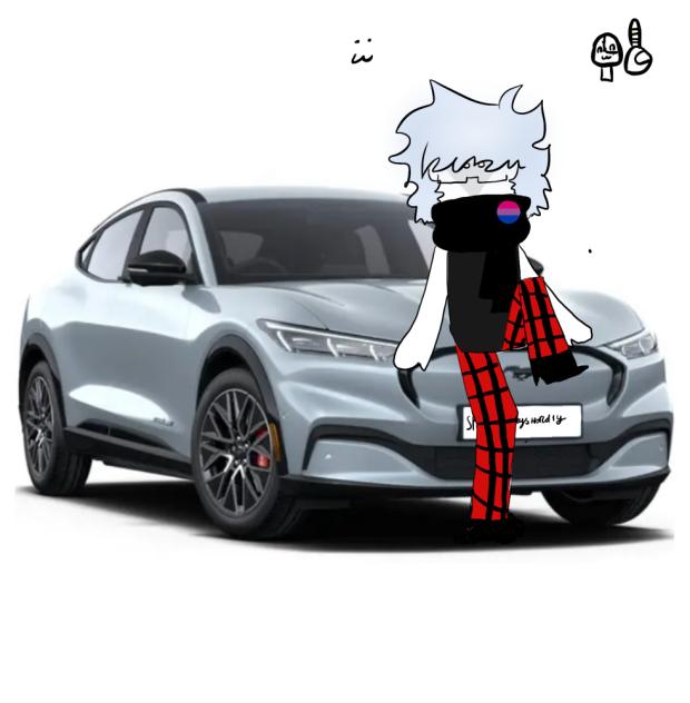 Gift for my wife Aherm I mean Happy