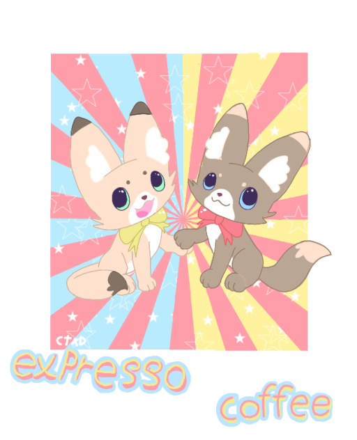 expresso y coffee fennec fox (zorros)