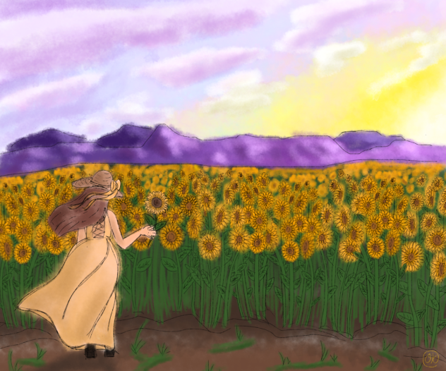 Sun rise in the field