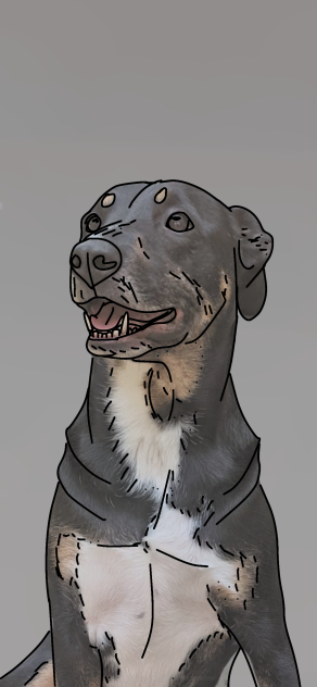 dogo!