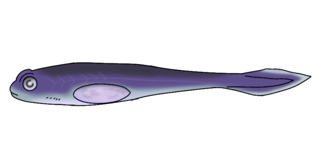 Cosmic-fry render didn't glow