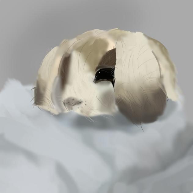 ~Bunny~ - ibisPaint