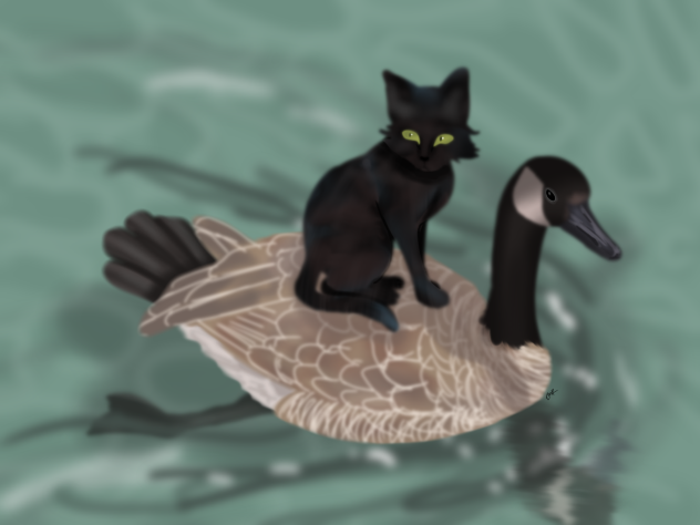 Cat and goose