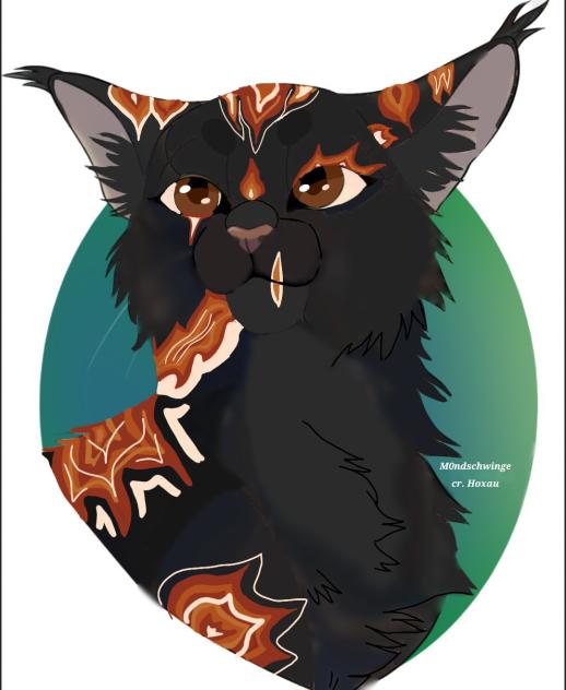 cat profile Ivyshade's OC