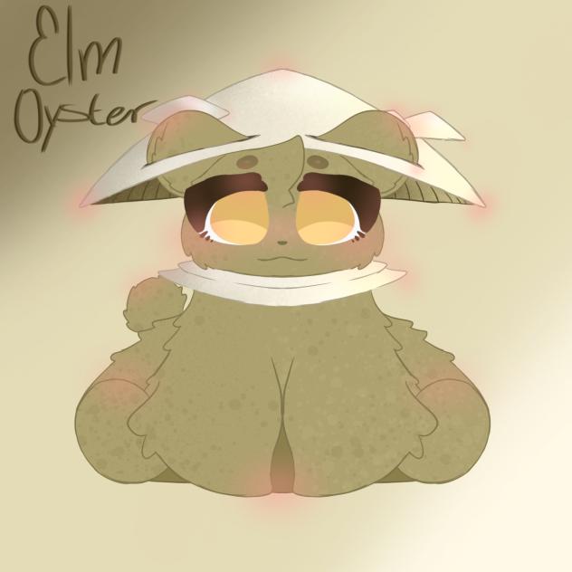Elm Oyster Mushroom Bear