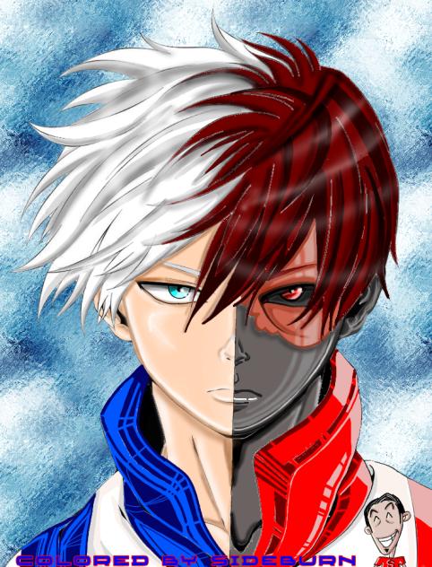 TODOROKI my-variant-quirk