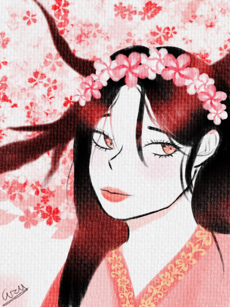 Cherry Blossoms
