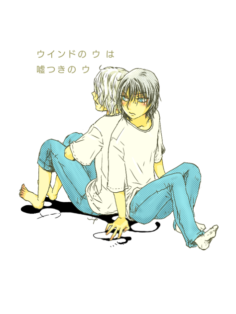 ウインド