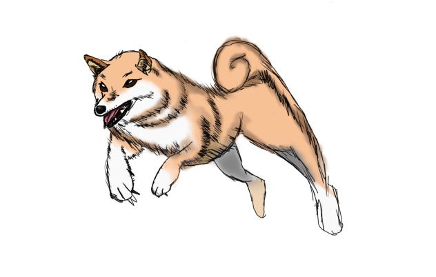 🐕🐾
