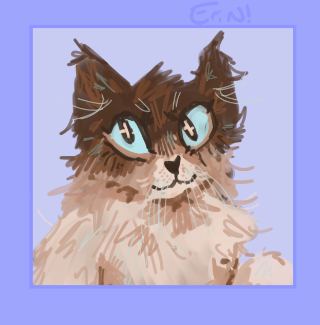 Kitty Cat!!!