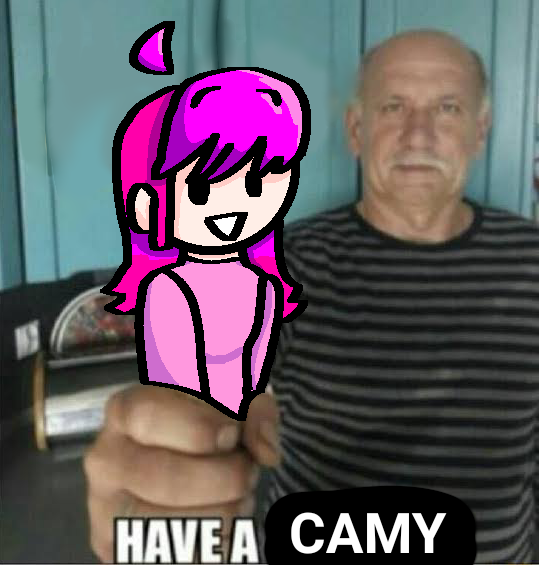 HAVE A CAMY