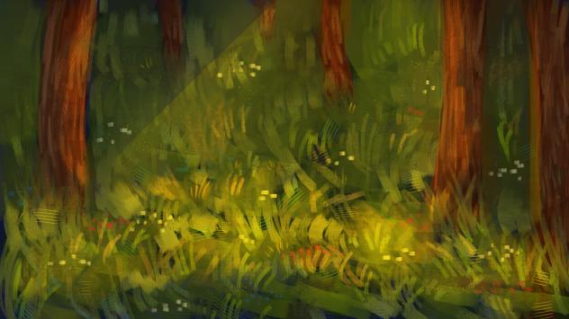 forest bg practice