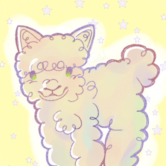 alpaca