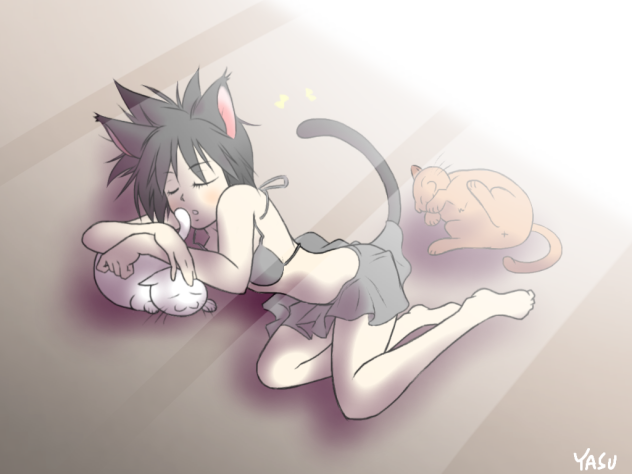 【ねこの日】猫田 猫美 日向ぼっこでおひる寝にゃ♡