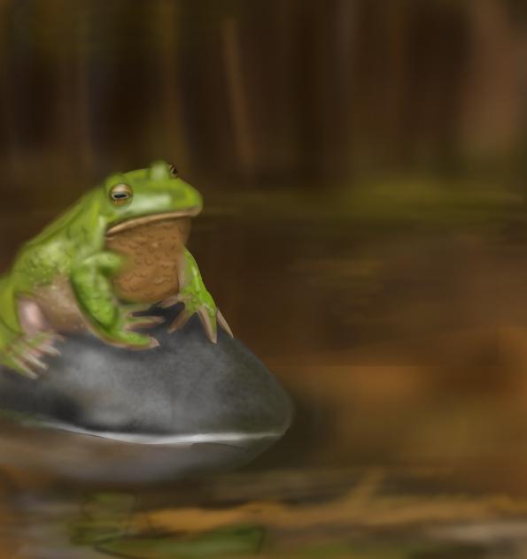 ~♡Froggy♡~