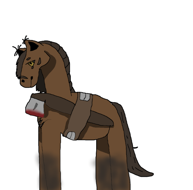 Luke West - Horse Design