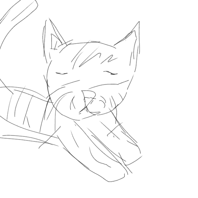 Cat dance