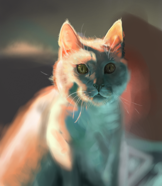 41 Sem Título - ibisPaint