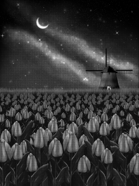 Tulip field (starry night)