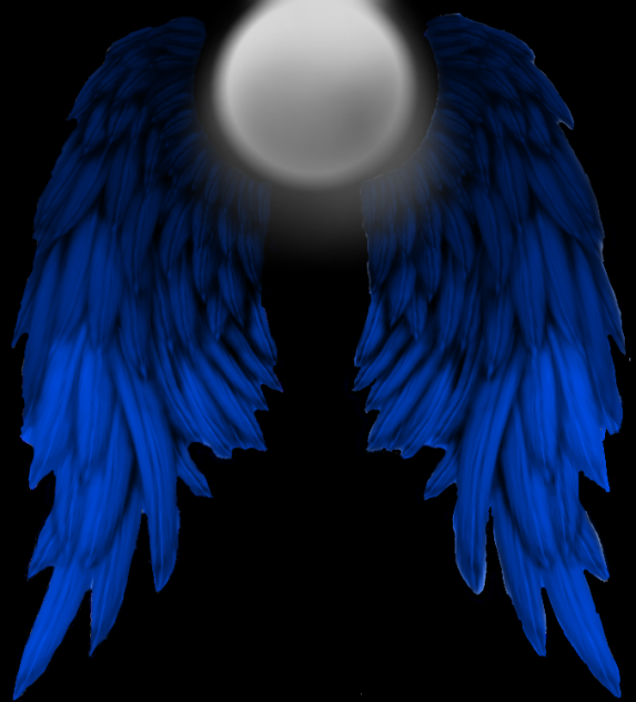 Moonlight Wings - ibisPaint