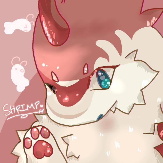 shrimpp