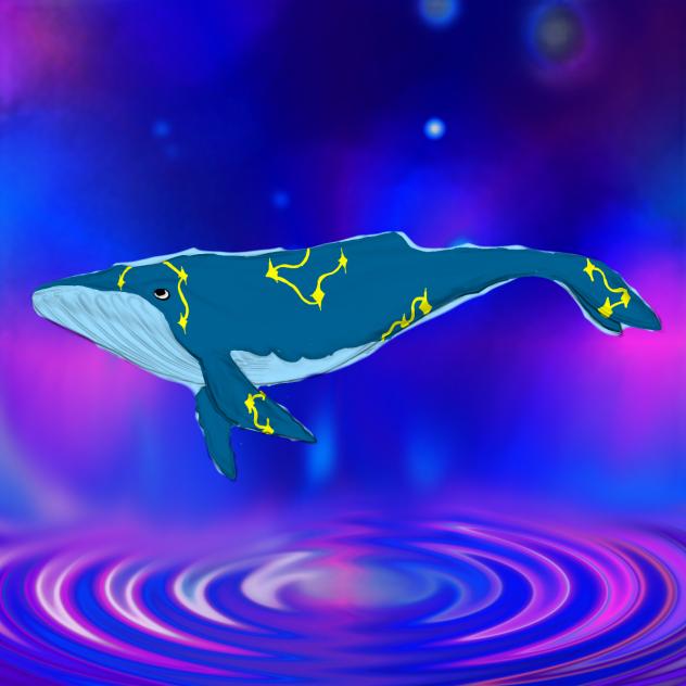 🐋🐳✨