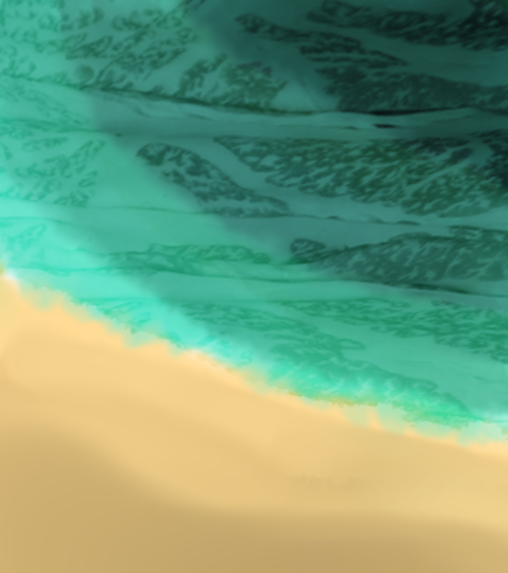 The beach - ibisPaint