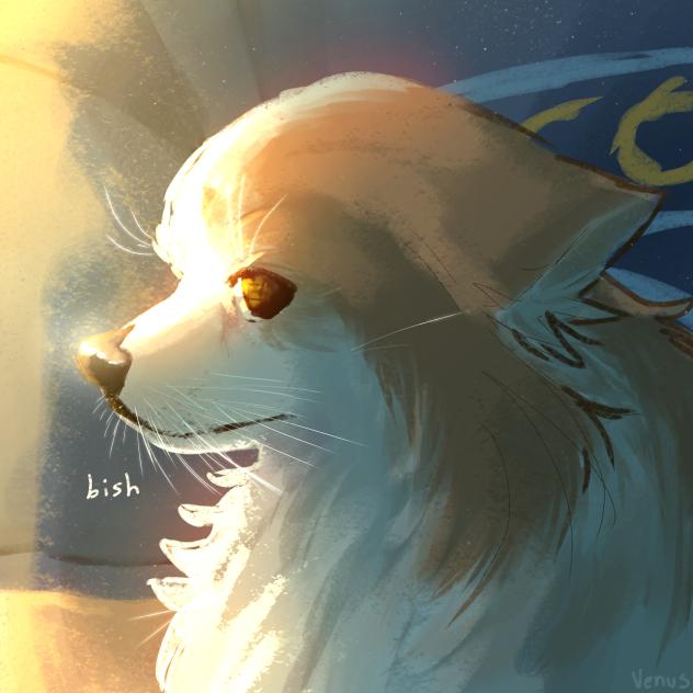 Chase aaaaaaaaaaaaaa