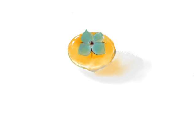 柿の描き方