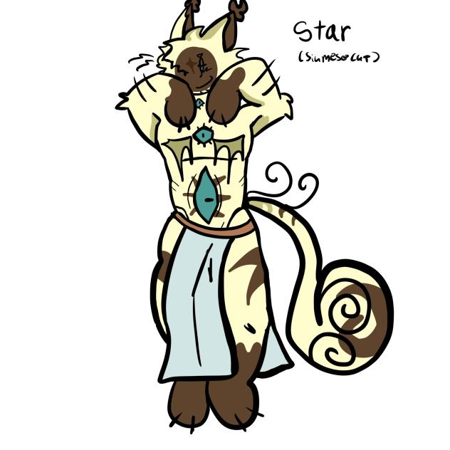 STAR REMAKE