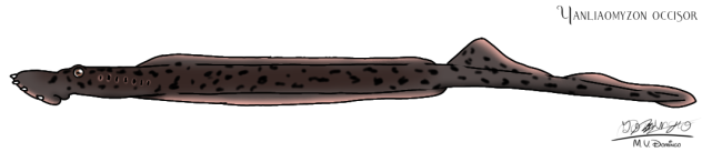 Yanliaomyzon occisor