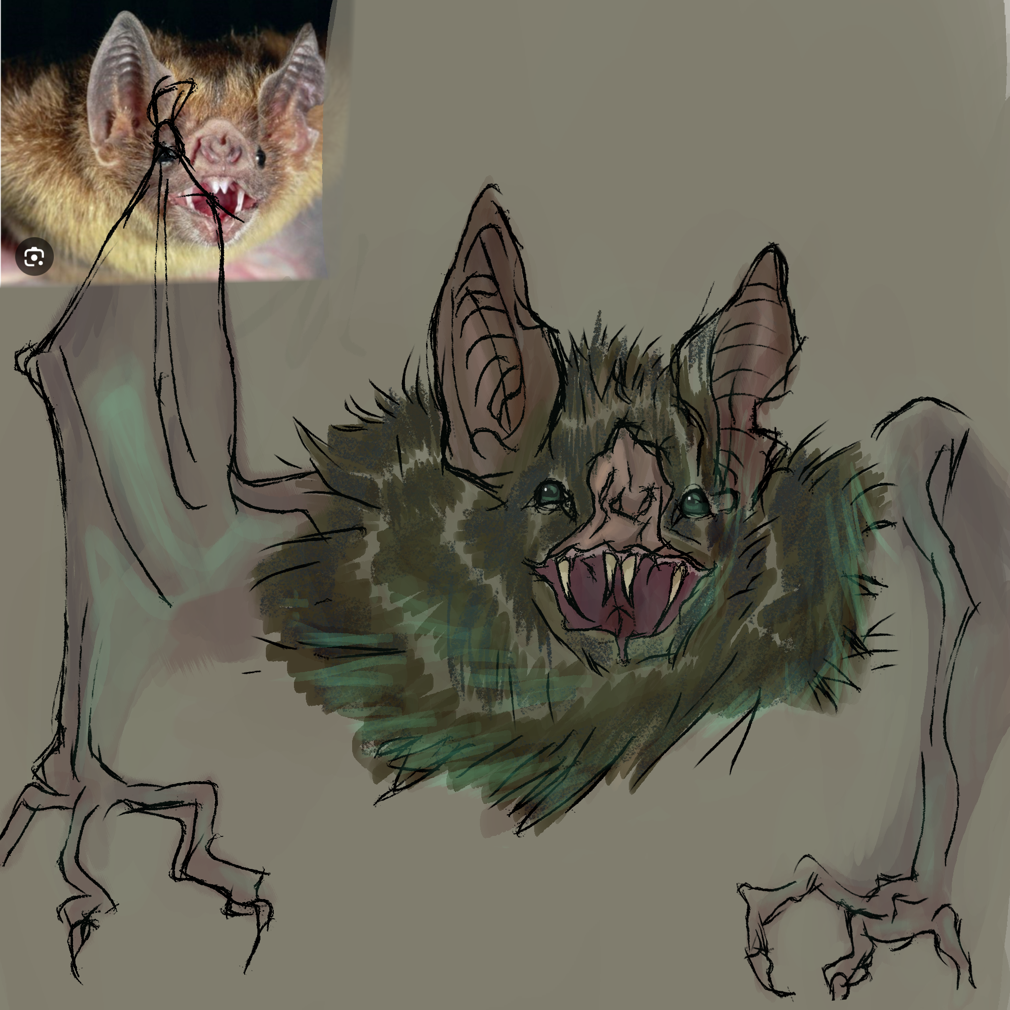 BAT - ibisPaint