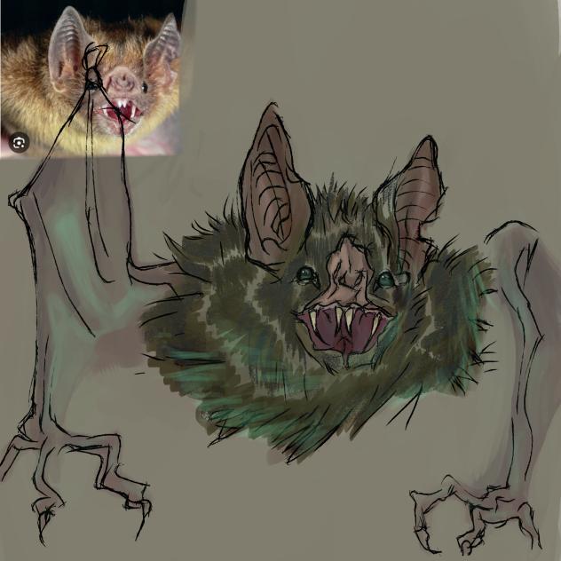BAT - ibisPaint