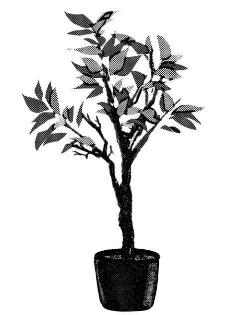 Plant decor