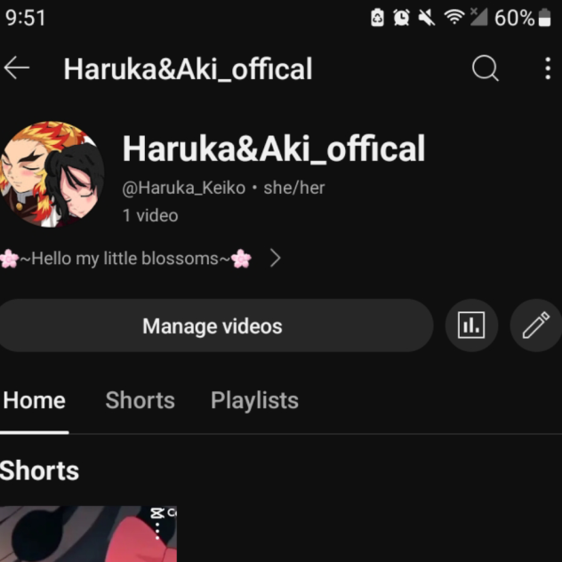 my silly YouTube channel