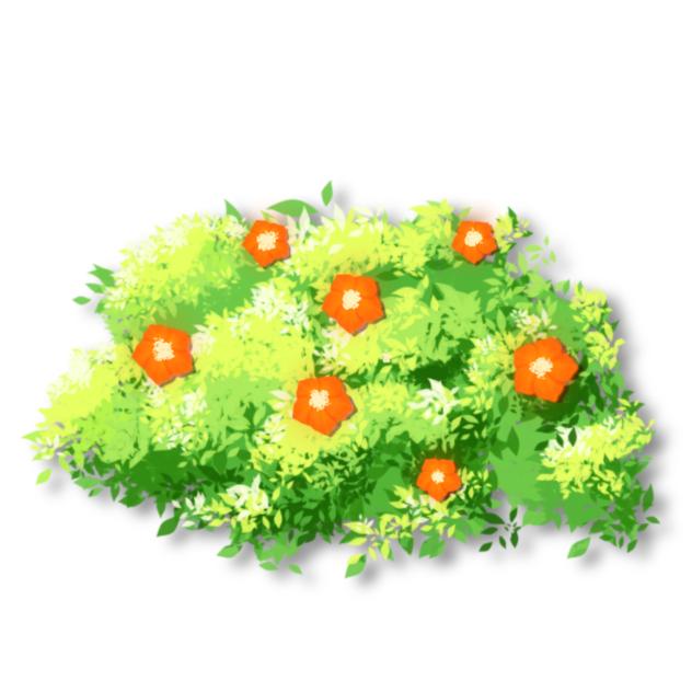 Hedge plant with flower Red